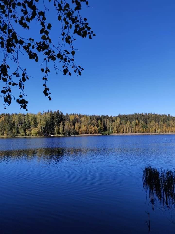 Природная красота Финляндии и Швеции с Мариной Аристовой, 16 дней